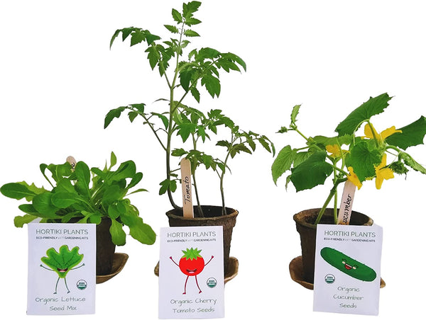 Hortiki Kids Organic Growing and Gardening Set - Science Kit for Kids