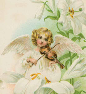 Victorian Organics - Books & Greeting Cards