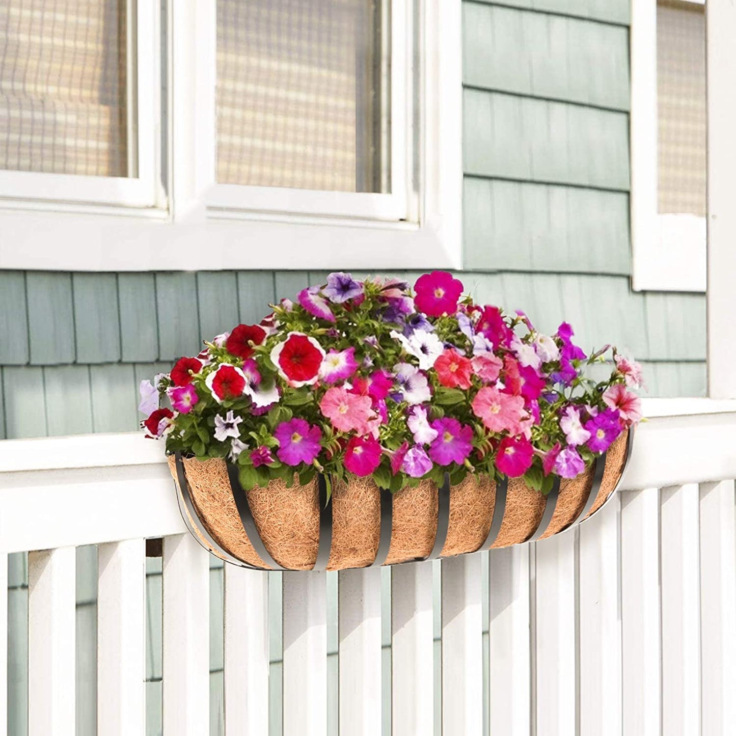 English Horse Trough Planter Black Metal Window Box Flower Basket