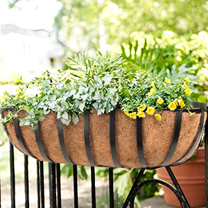 English Horse Trough Planter Black Metal Window Box Flower Basket