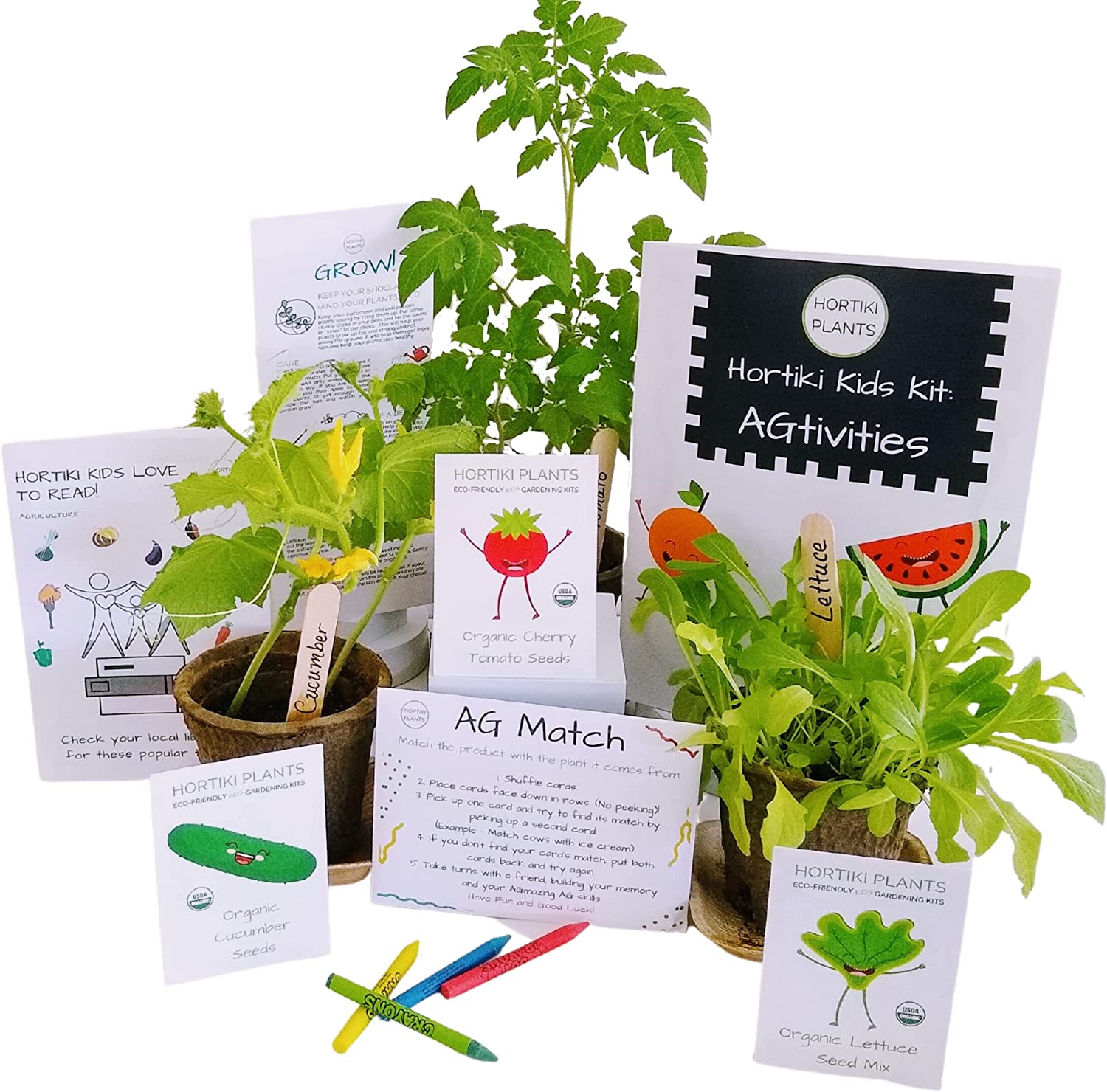 Hortiki Kids Organic Growing and Gardening Set - Science Kit for Kids